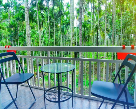 good homestays in chikmagalur