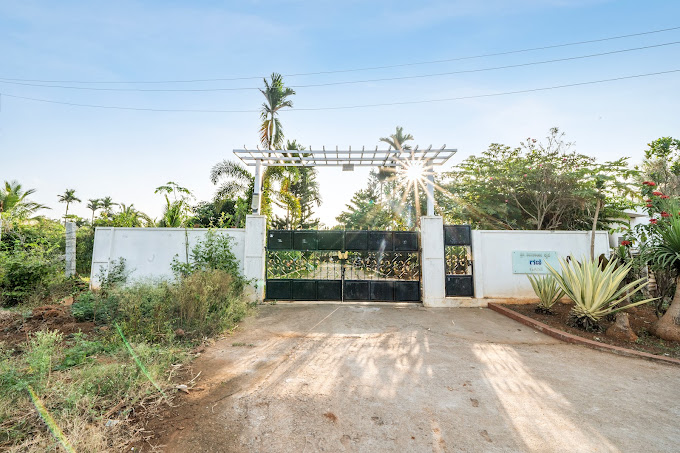 Nighttime ambiance of Gani Farms with lit pathways