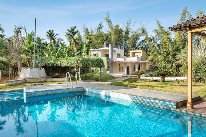 Gani Farms swimming pool surrounded by greenery and lounge chairs