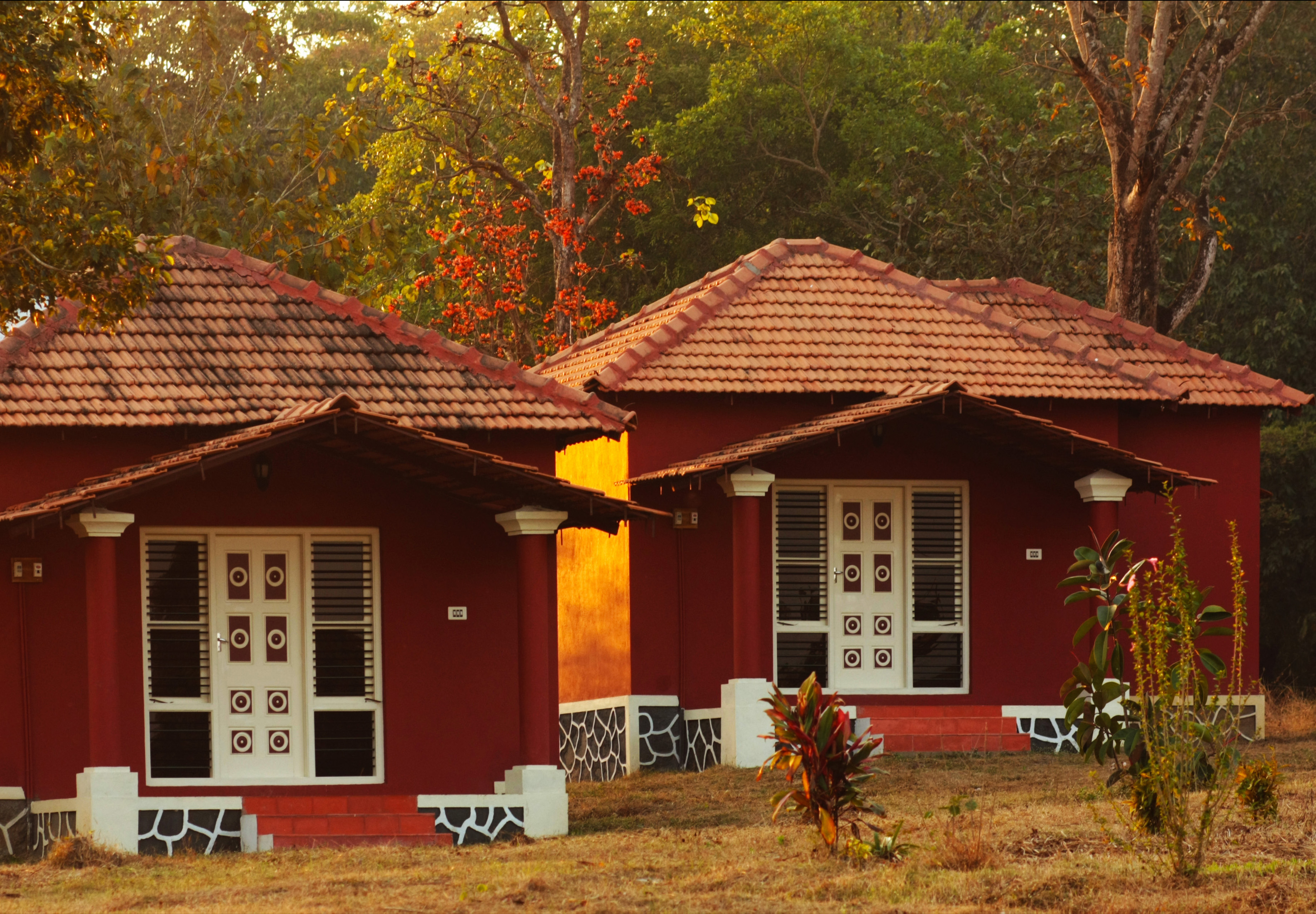 Find peace and serenity at the idyllic Dandeli homestay 