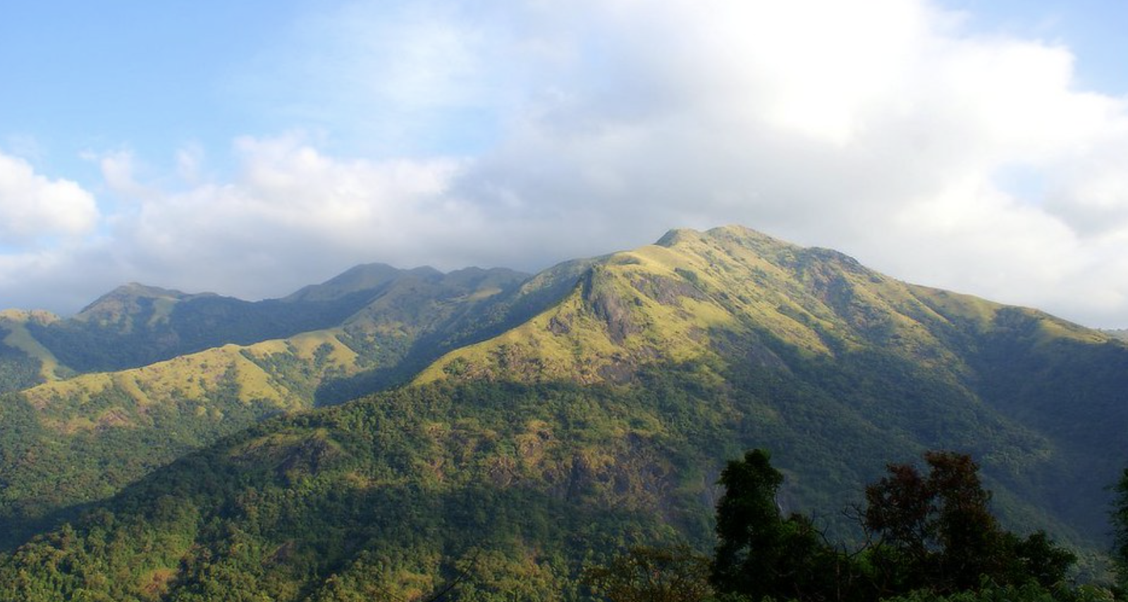 Sakleshpur homestay