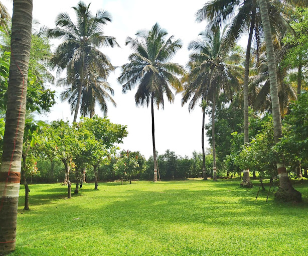 Explore Mysuru from Carisbrook farm house