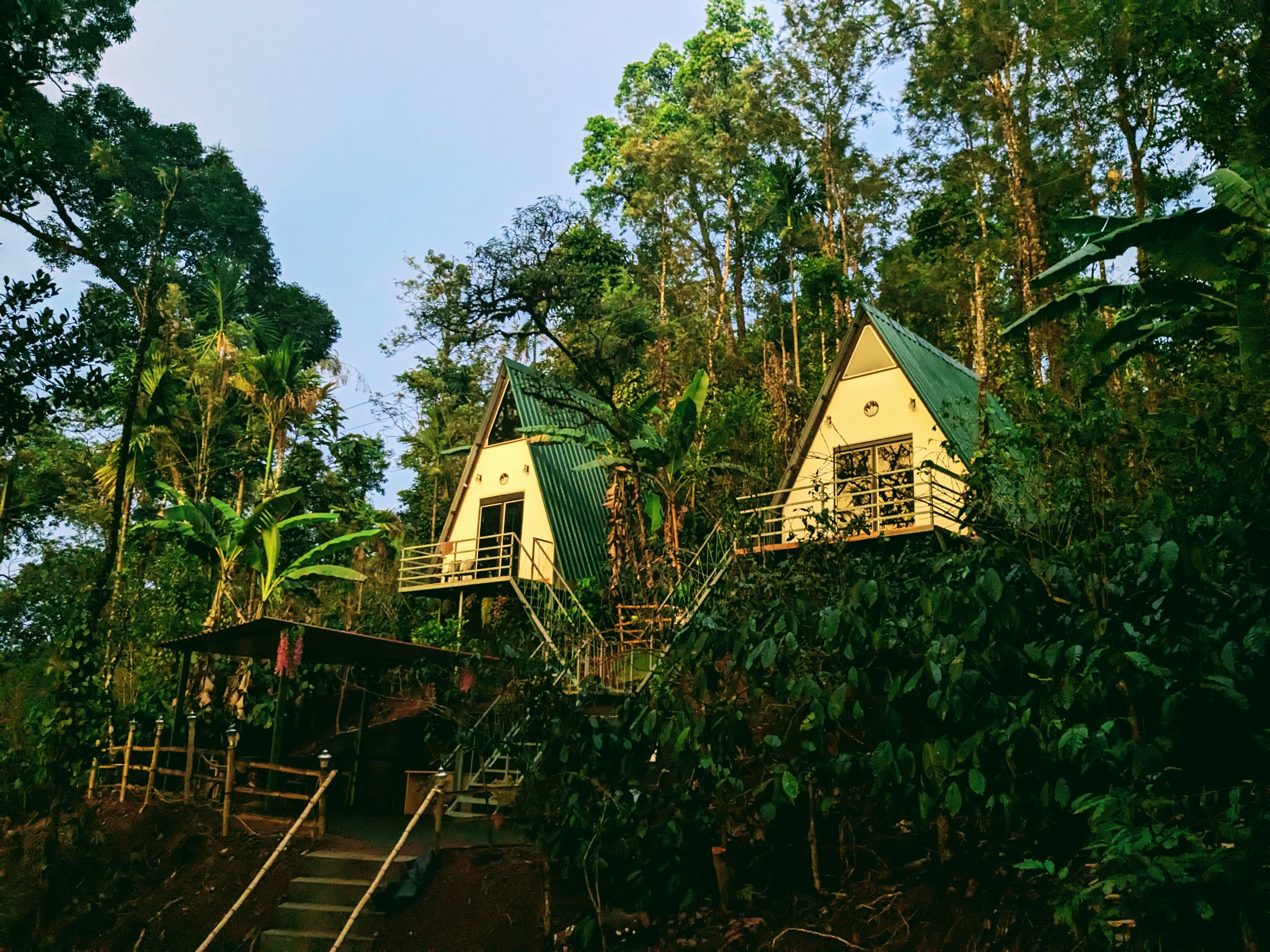 Cozy cottages for a perfect stay in Madikeri