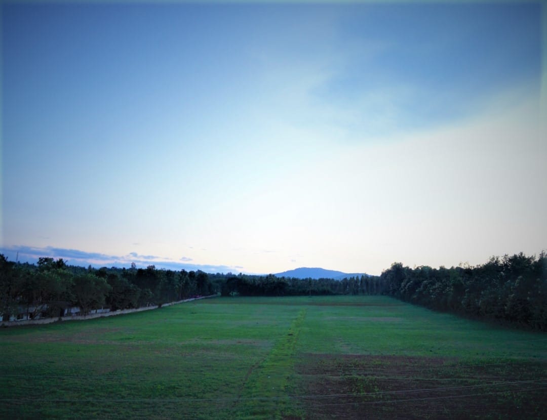 Experience nature at good homestays in Coorg