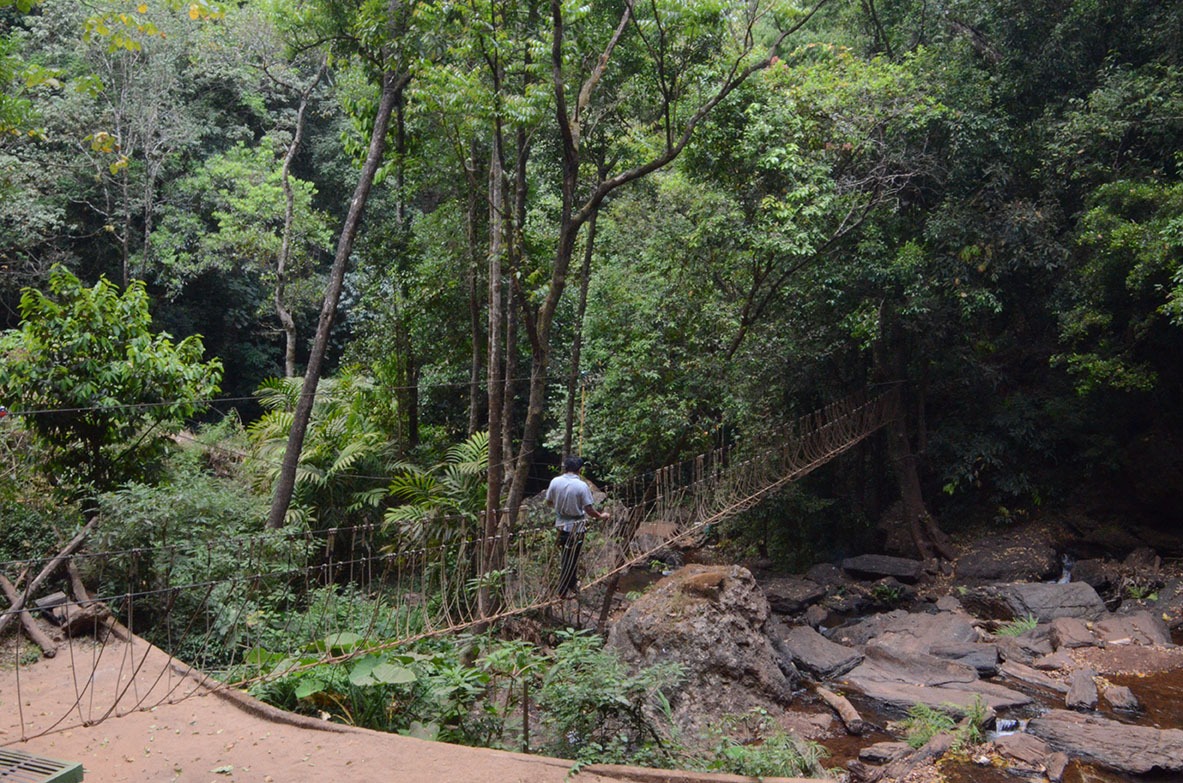 homestay in chikmagalur with waterfalls