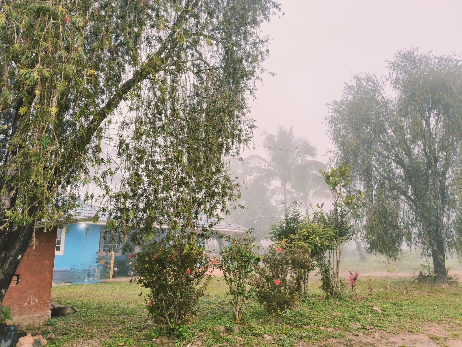 Experience nature at Vedaanti Farmstay in Bittangala