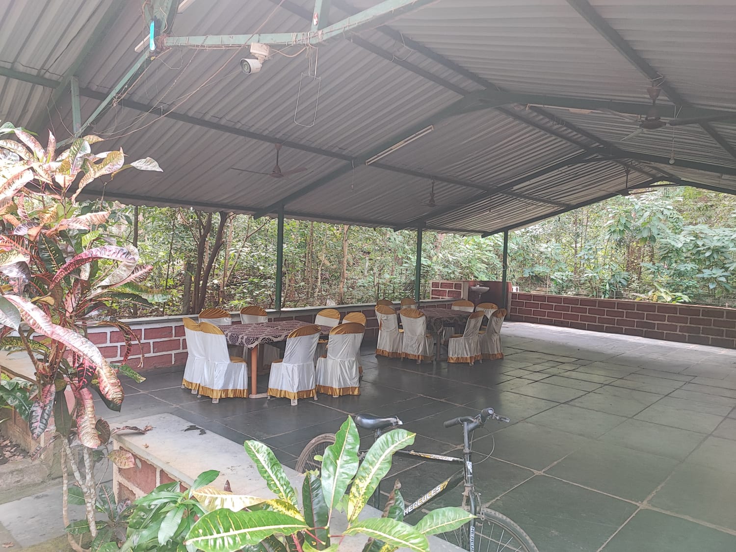 Relaxing ambiance at the best homestay in Dandeli