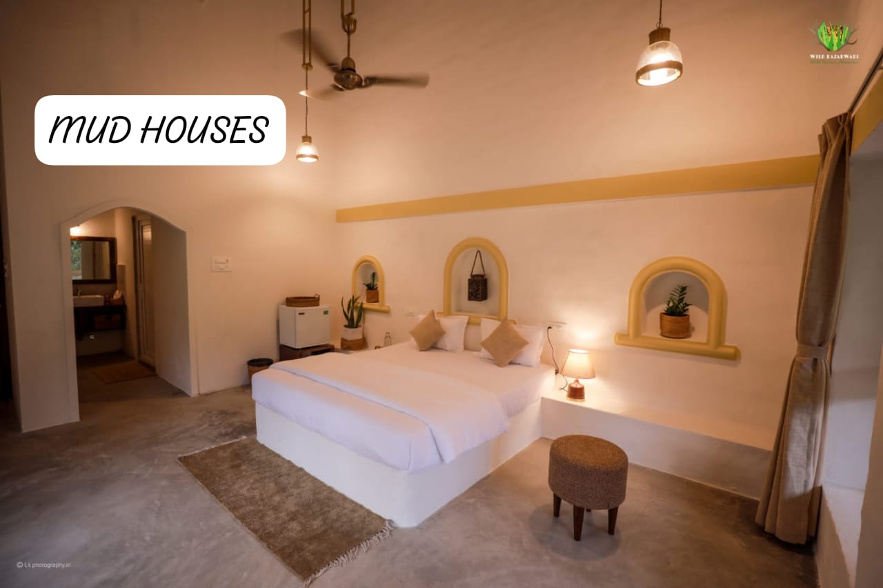 Cozy interior of our nature homestay with wooden accents