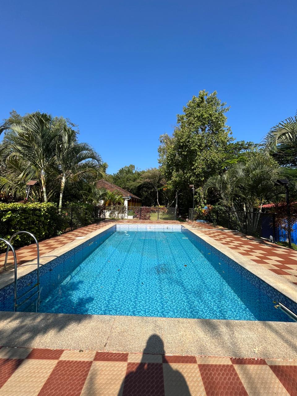 Swimming pool surrounded by greenery at Rangers Camp