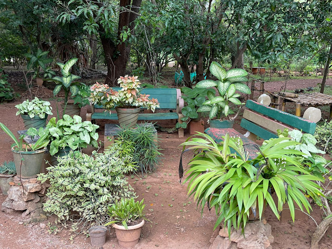 Nature retreat for families at Namya Farm in Mysore