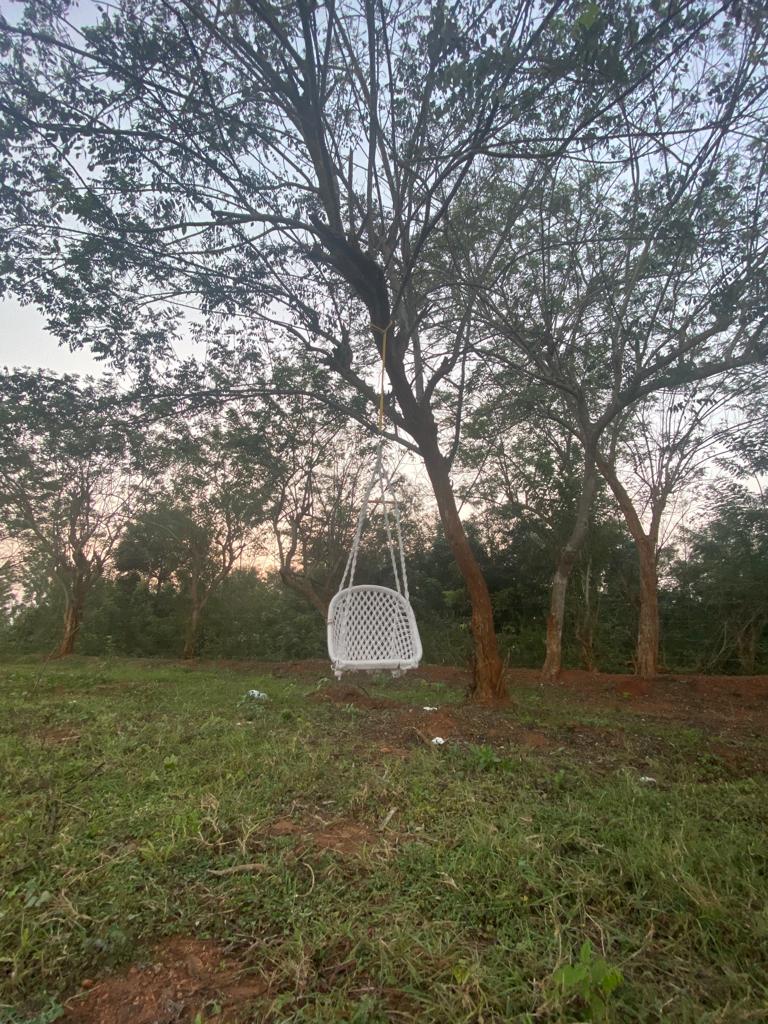 Enjoy nature at Kabini Kaanana Homestay