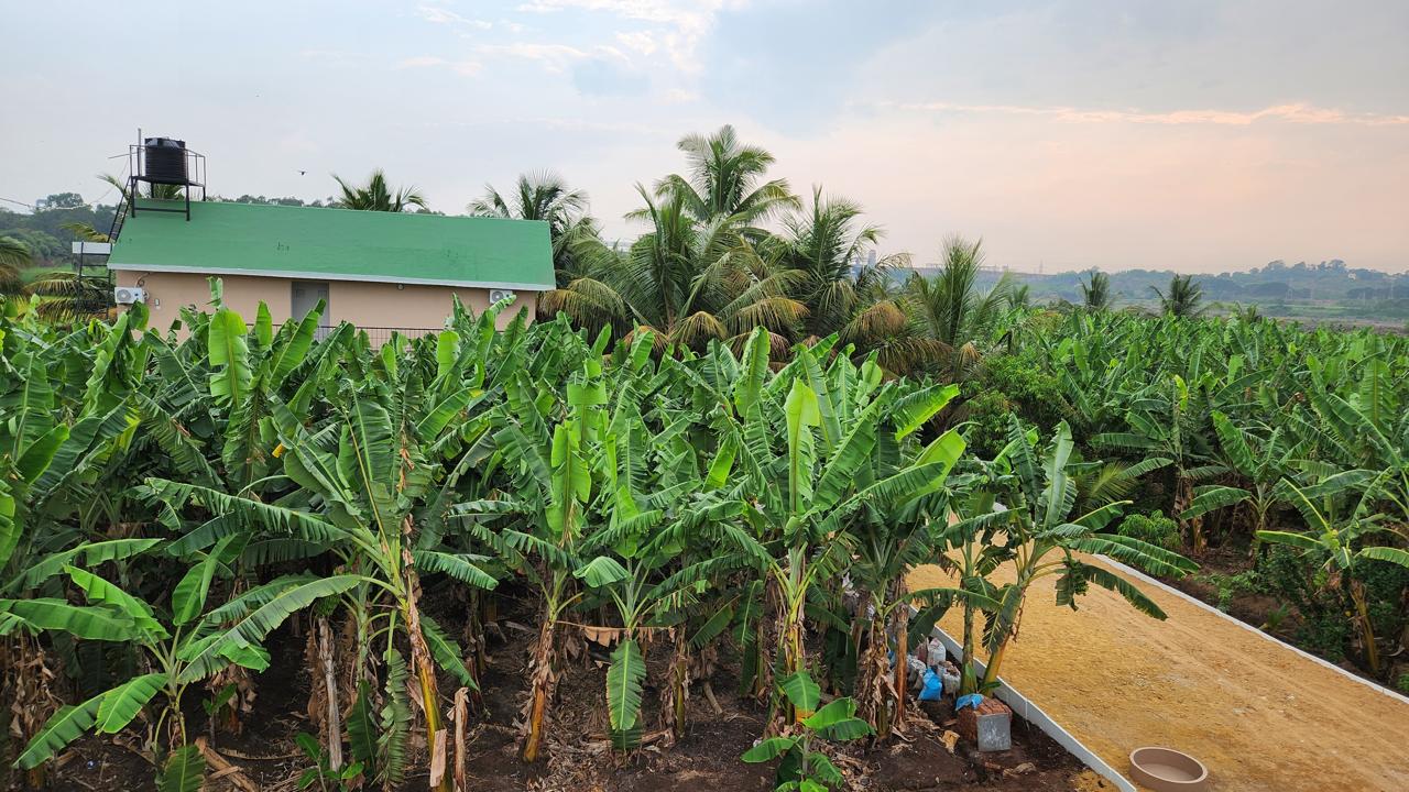 Experience nature during your hampi stay