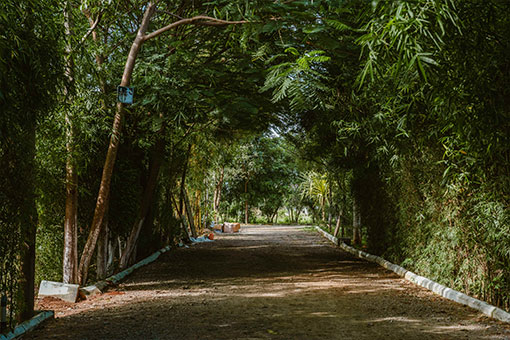 Farm Stay Resort Gouraram