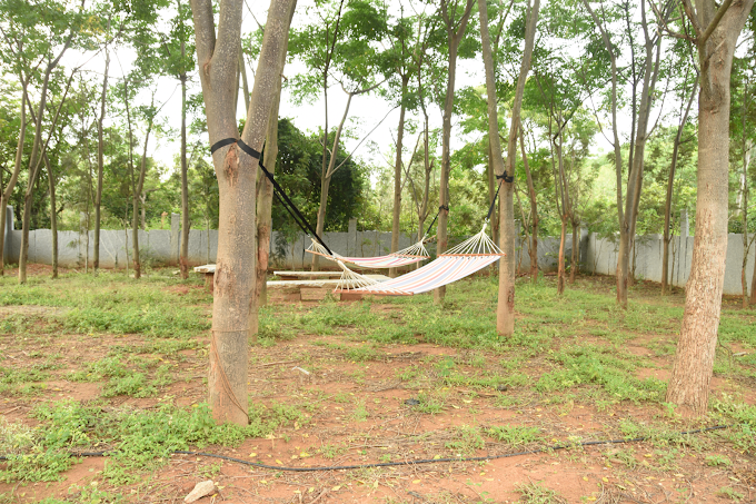 Nature retreat at Sampada Farmstay