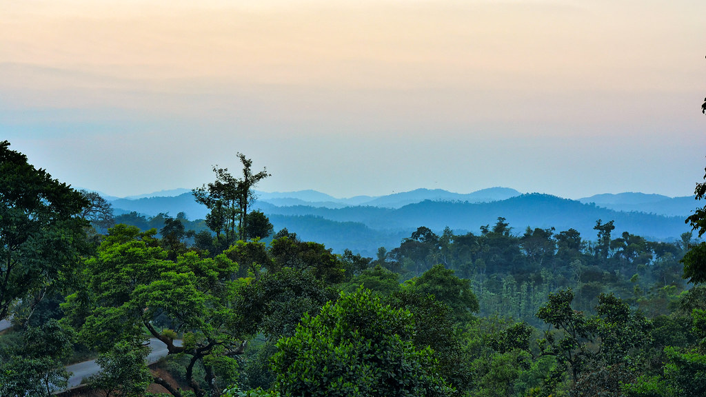 Scenic mountain vista from Sakleshpur homestay