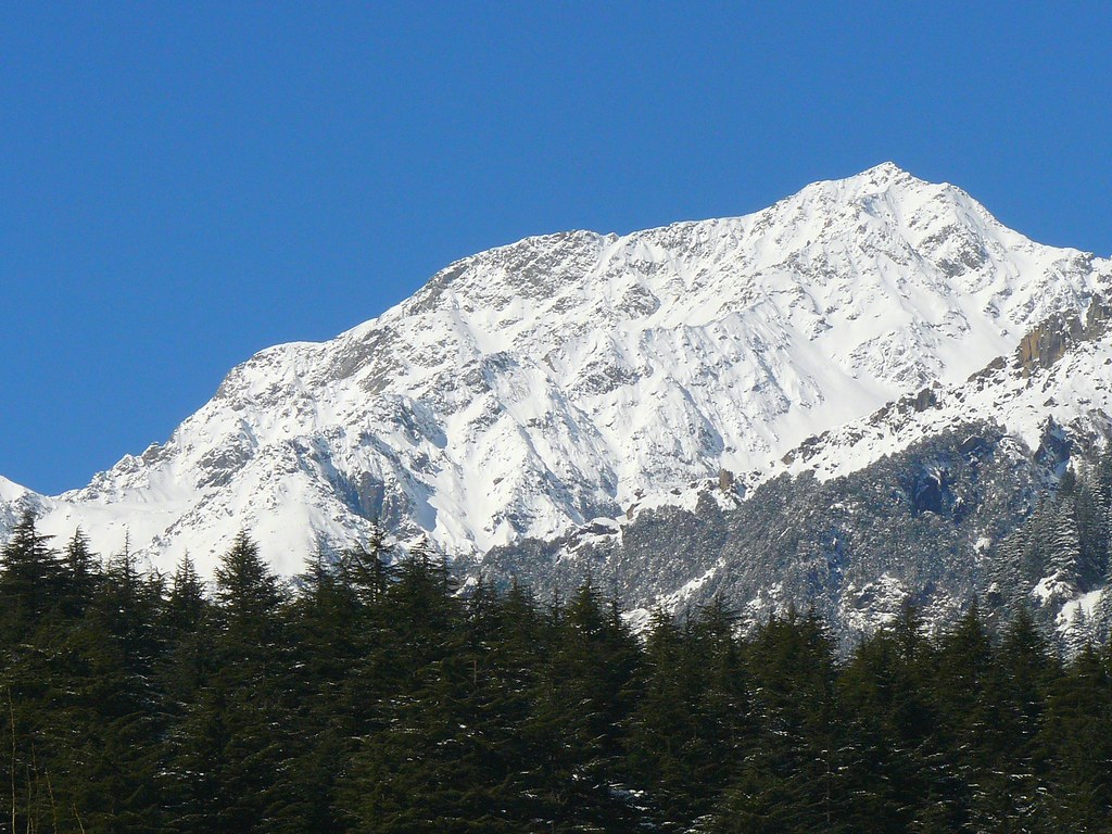 Cozy wooden homestay in Old Manali with snow-capped mountains in background