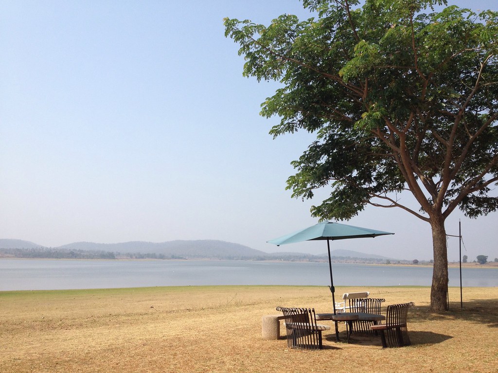 Treehouse homestay with panoramic view of Kabini river