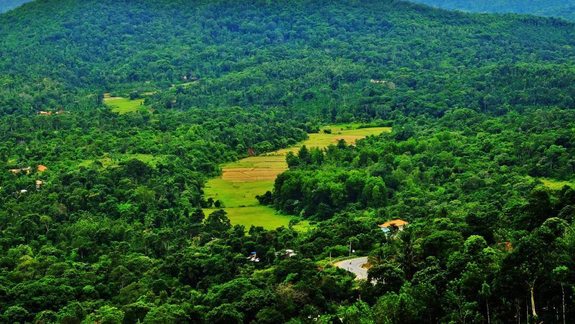 Scenic landscape of Coorg's lush green hills and coffee estates