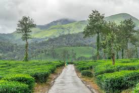 Breathtaking aerial view of Wayanad's verdant landscape and misty mountains