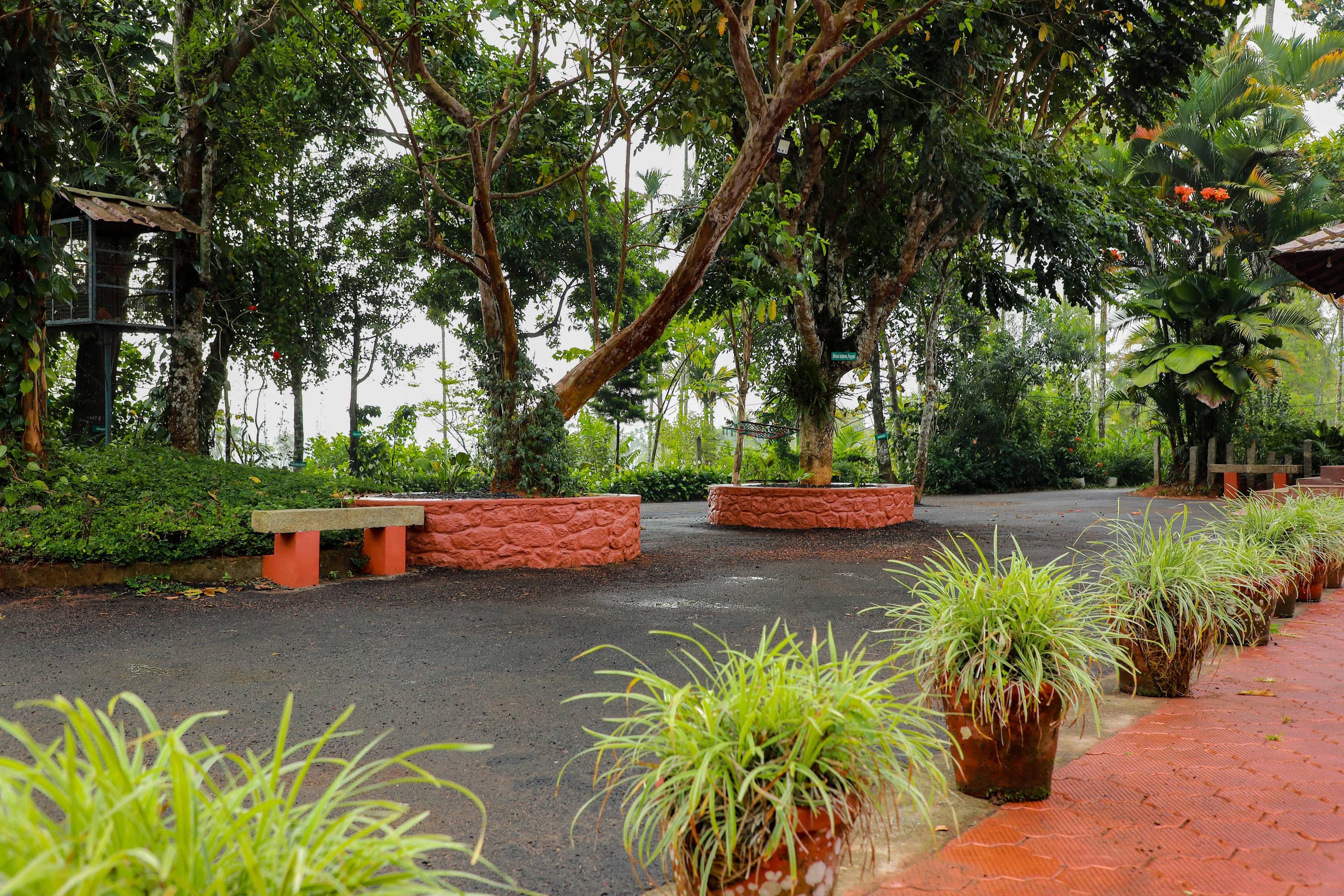 Top-rated homestay in Wayanad Kerala