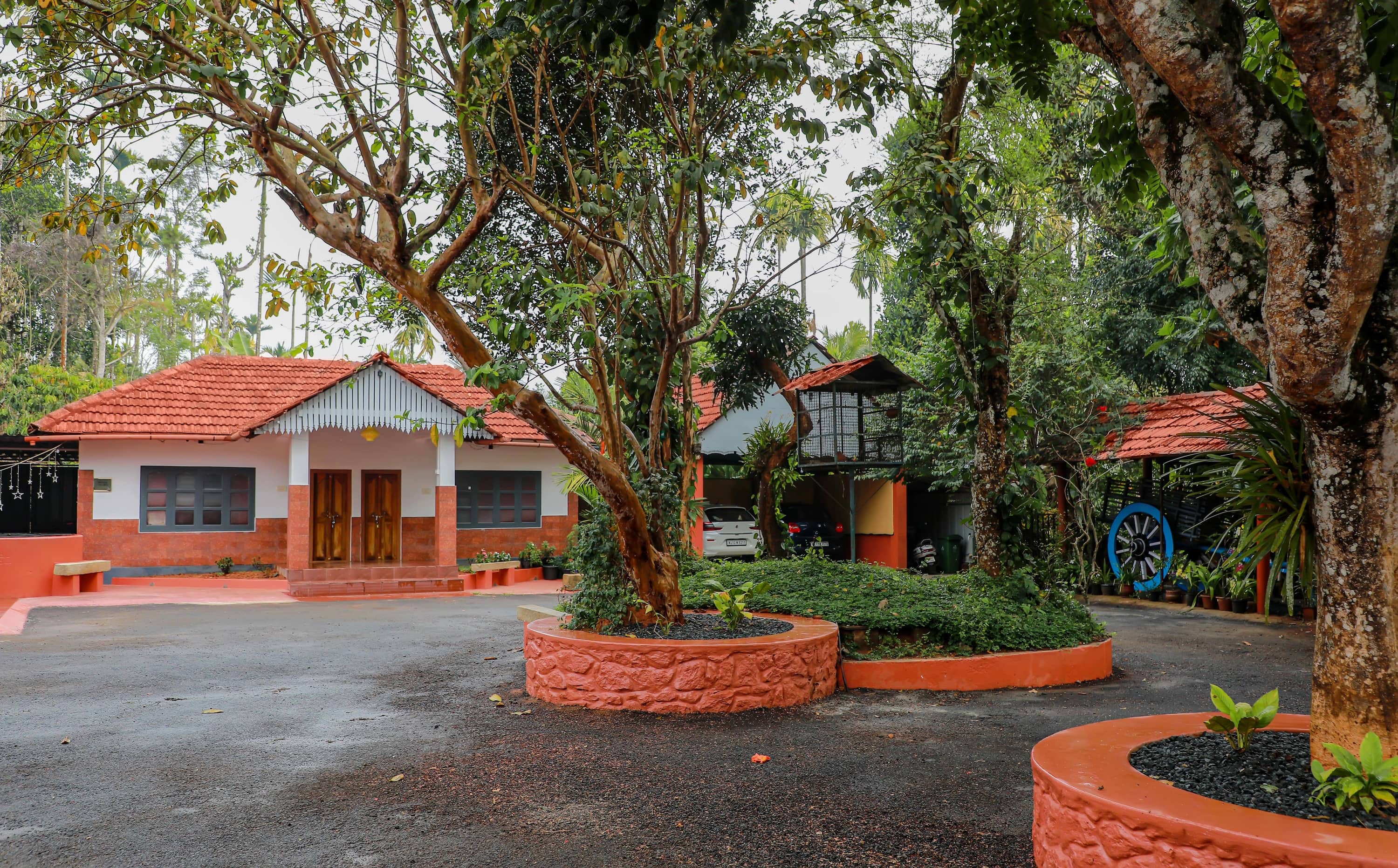 Rejuvenating Ayurvedic massage in Wayanad