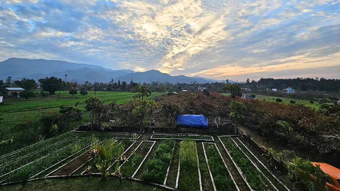 Nature-filled escape at Nainital homestay