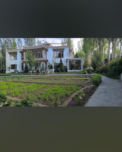 Eco-friendly accommodation in Ladakh