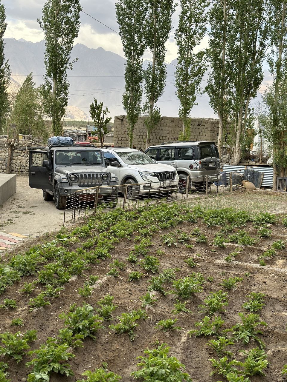 Feroz Homestay near Hunder Nubra