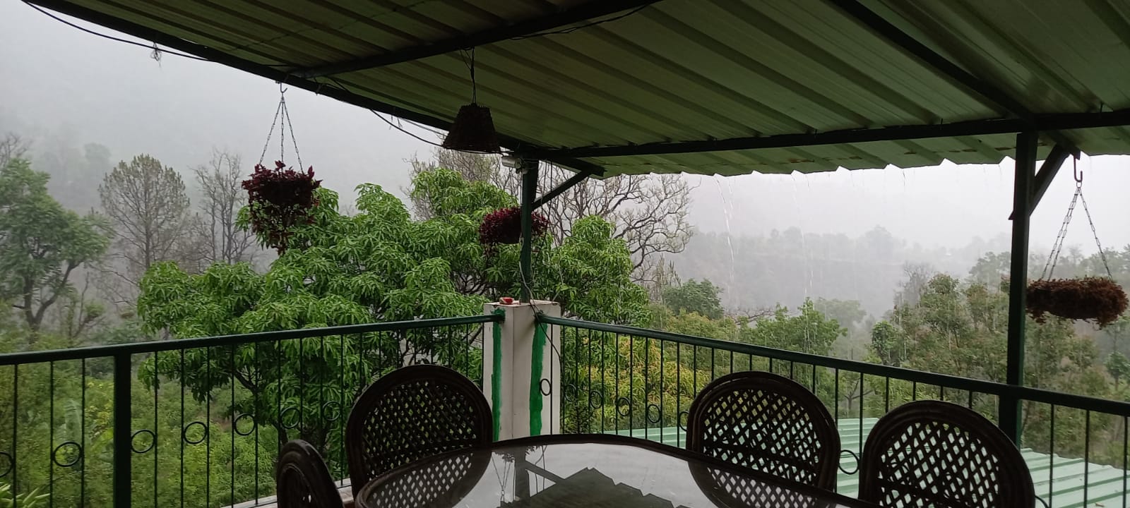 Serene views from luxury homestay in Nainital  