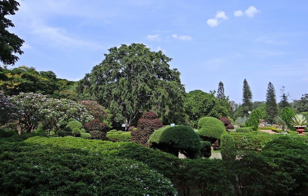 Scenic view of Lalbagh Botanical Garden in Bangalore, featuring lush greenery, manicured bushes, and a bright blue sky."