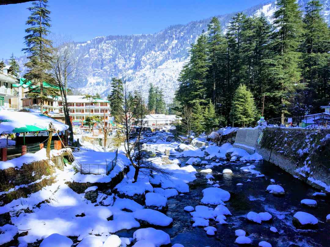 Rustic homestay cottage in Manali surrounded by nature