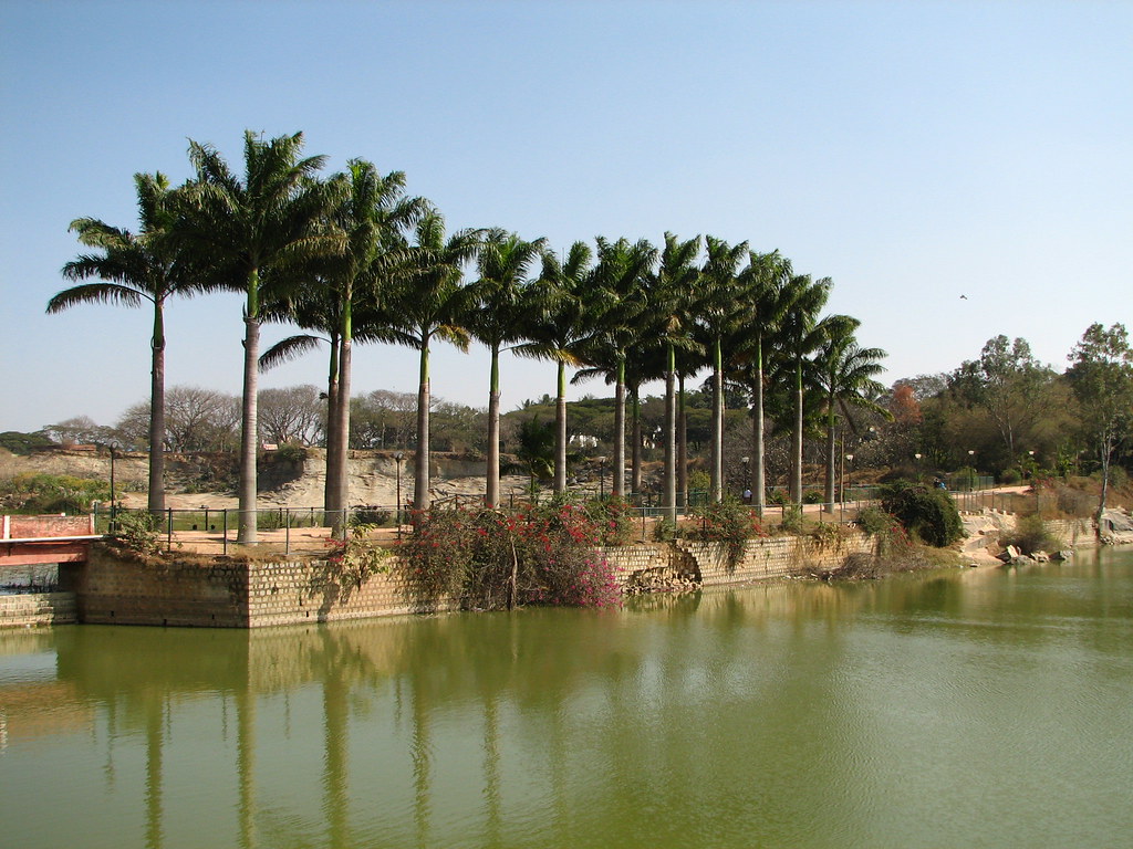 Scenic view of a row of tall palm trees lining a waterbody, with a clear blue sky and lush greenery in the background.