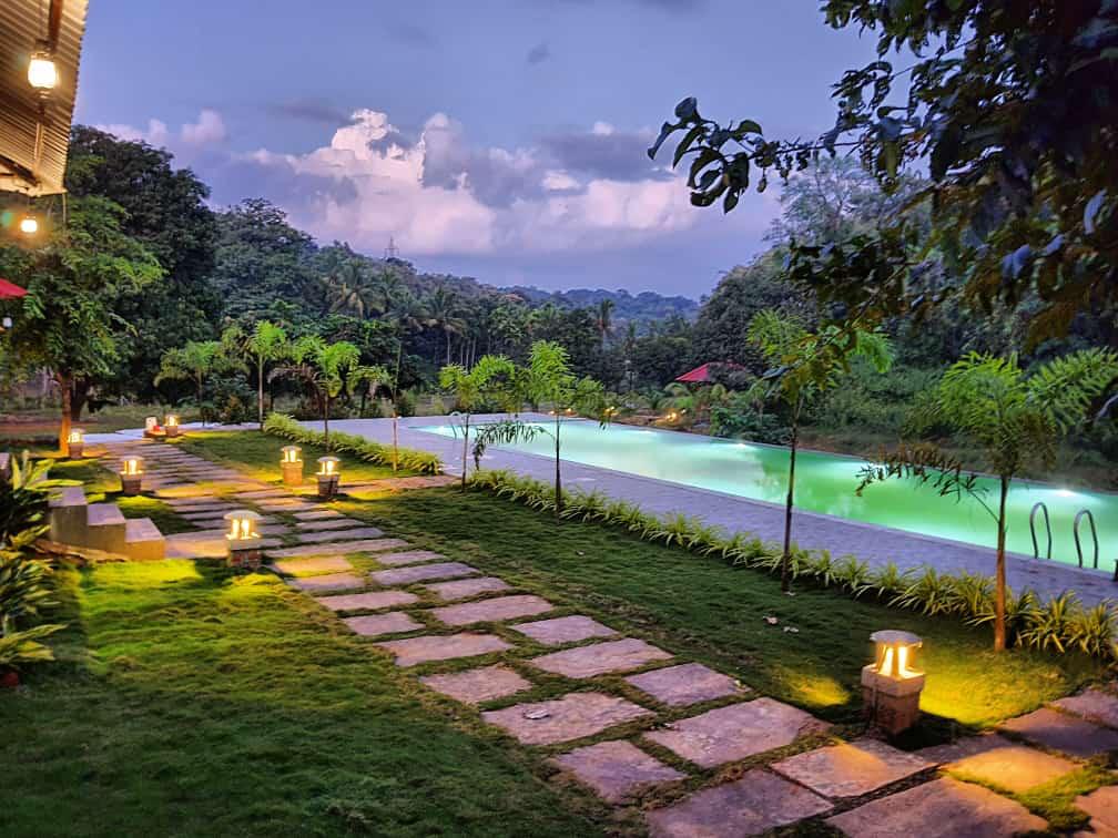 Unique treehouse stay experience in Dandeli's wilderness